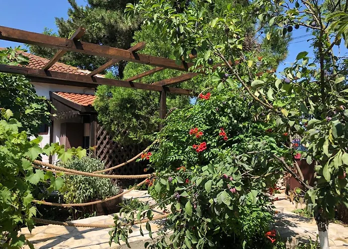 Grauri Si Smochini Hotel Vadu photo
