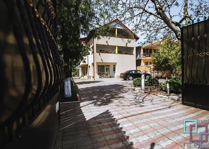 Pension Nina Douazeci si Trei August photo