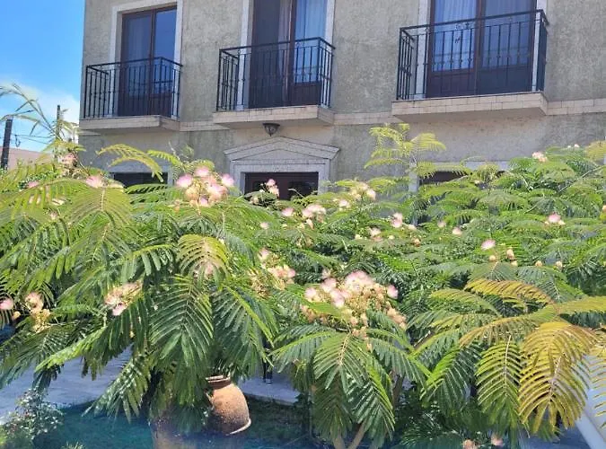 Vila Caviar Hotel Sulina photo