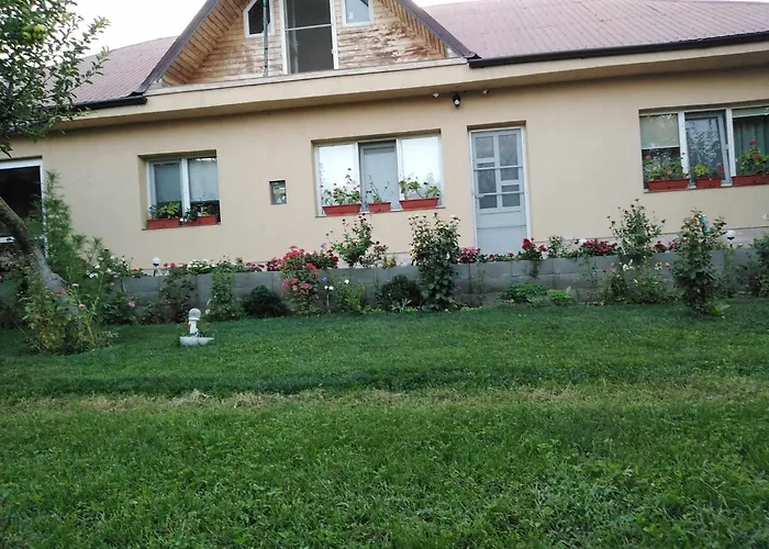 Casa De Inchiriat In Limanu Villa photo